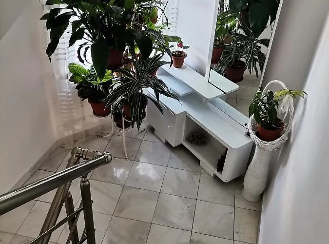 Konomaevi בית הארחה