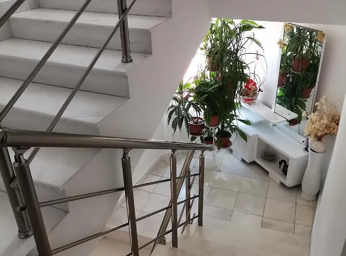 Konomaevi סוזופול